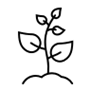 Plant outline
